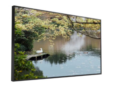 مانیتور صنعتی IFSP-5559P